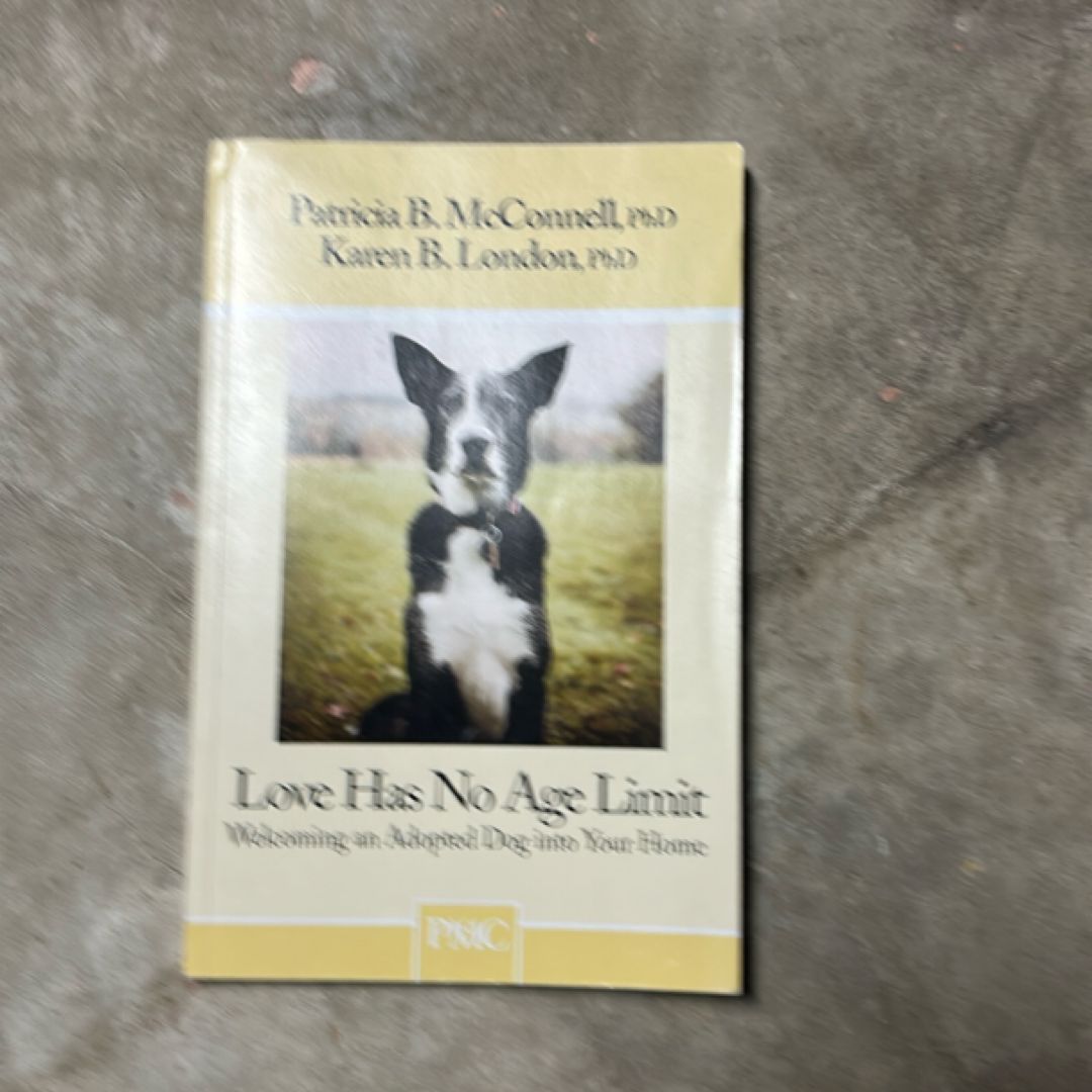 Love Has No Age Limit