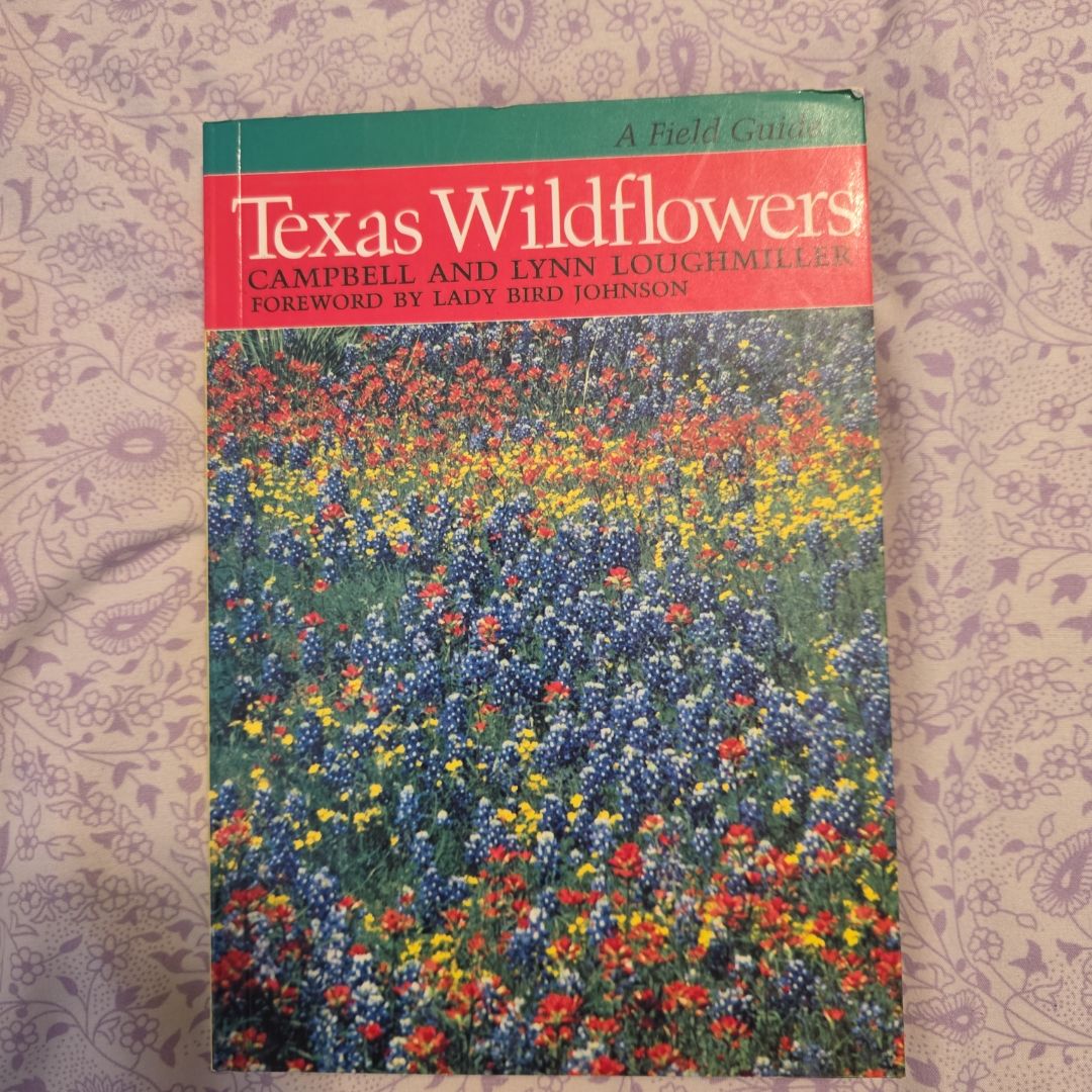 Texas Wildflowers