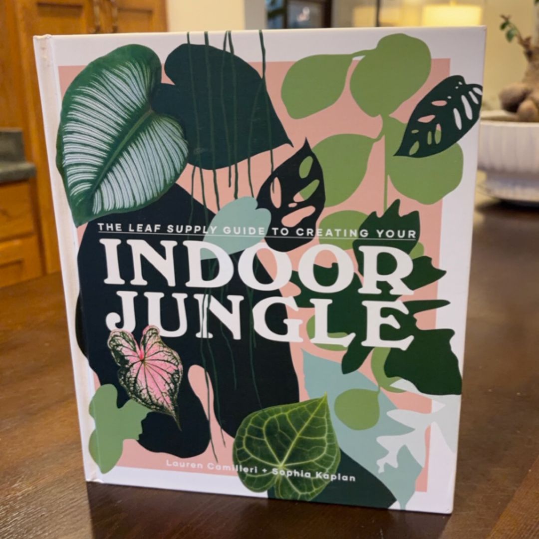 Leaf Supply Guide to Creating Your Indoor Jungle