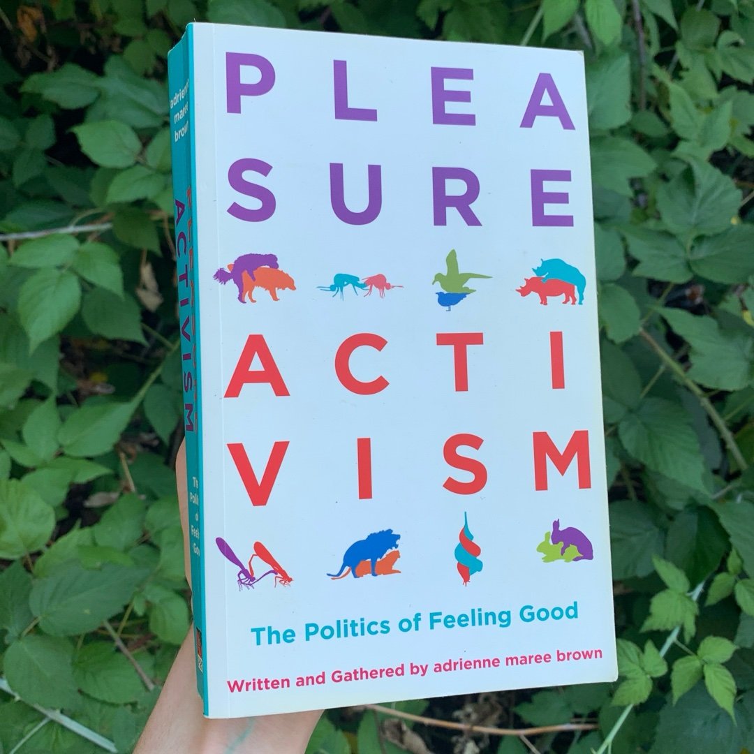 Pleasure Activism
