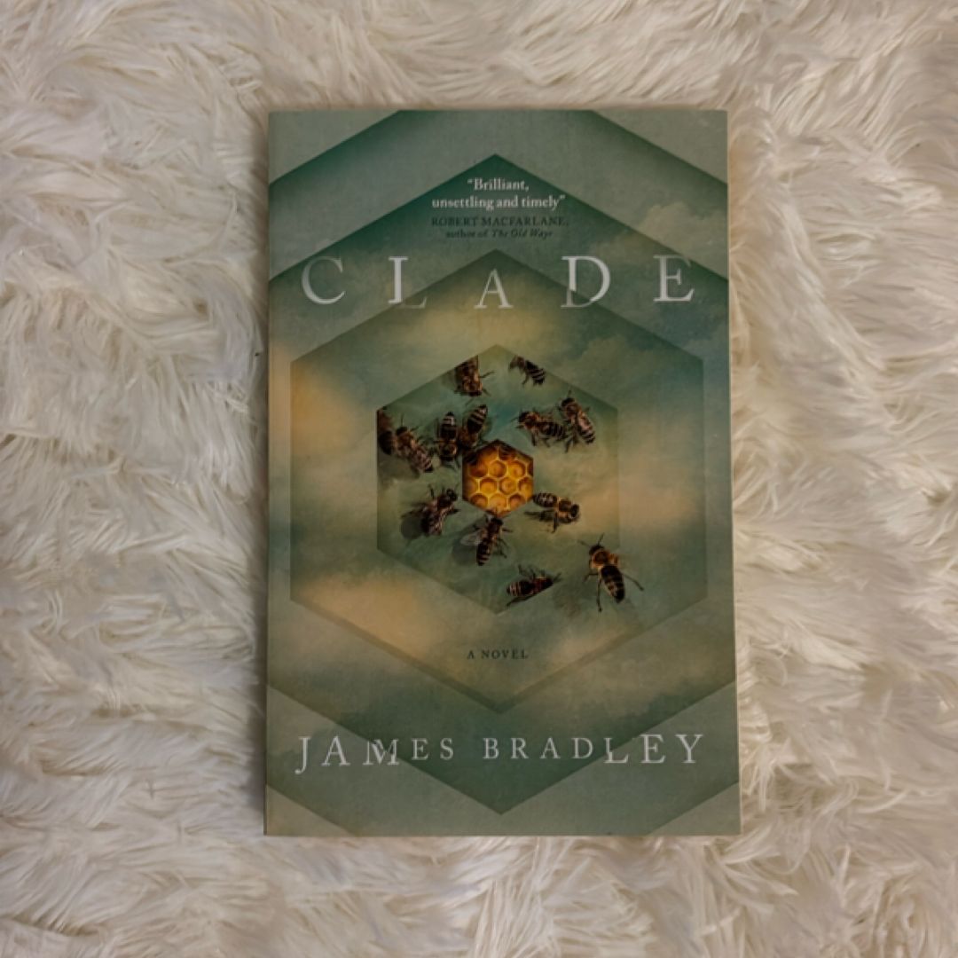 Clade