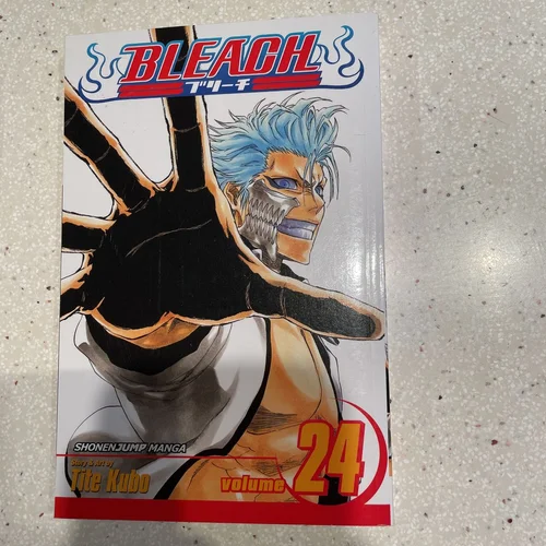 Bleach, Vol. 24