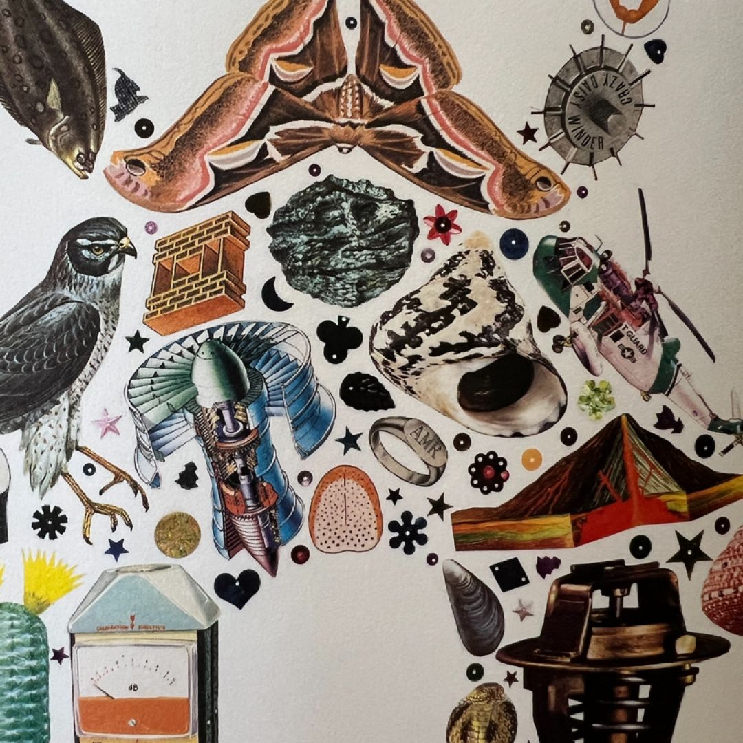 The Pieces [Edie Fake] by Edie Fake