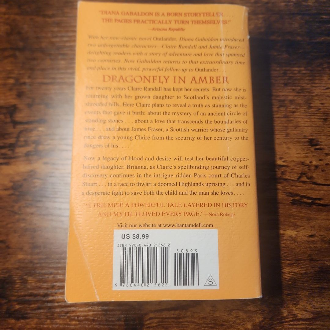 Dragonfly in Amber