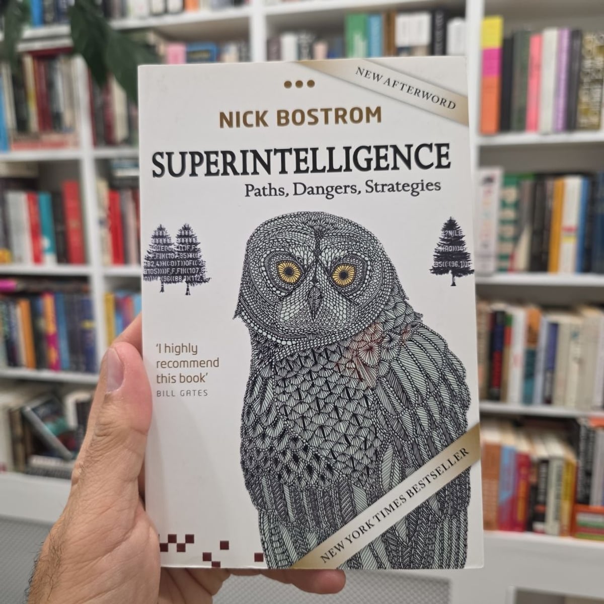 Superintelligence by Nick Bostrom