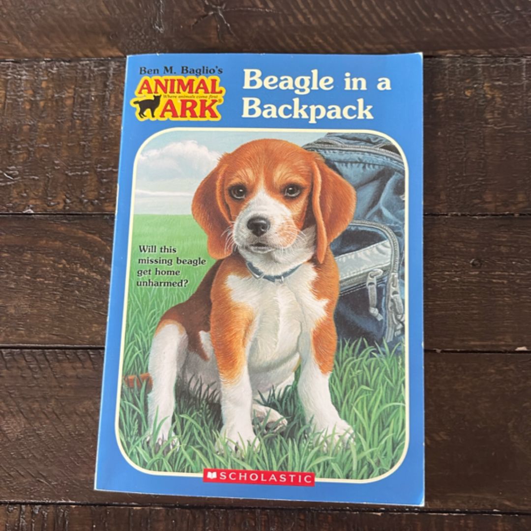Beagle in a Backpack