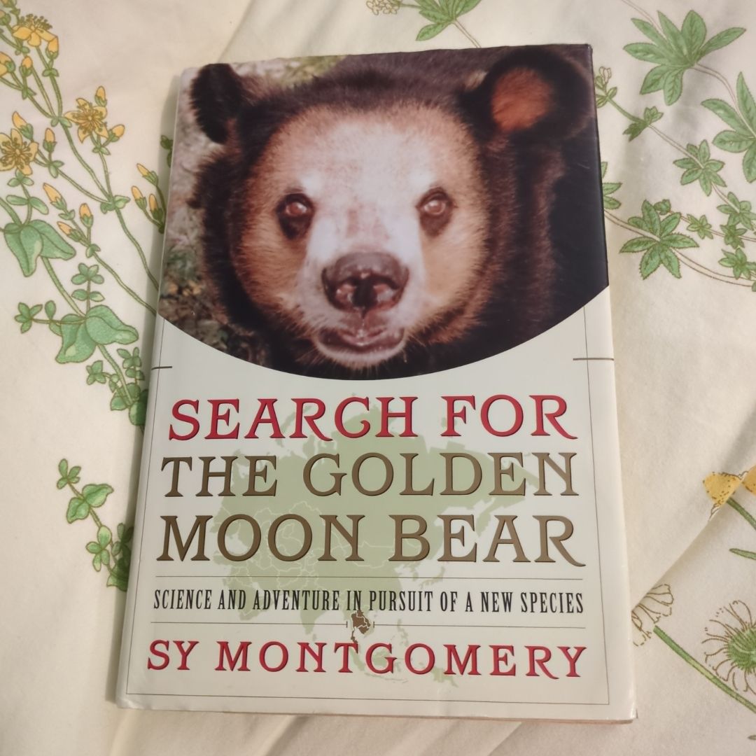 Search for the Golden Moon Bear