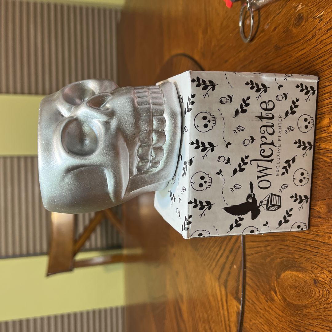 Owlcrate skull planter