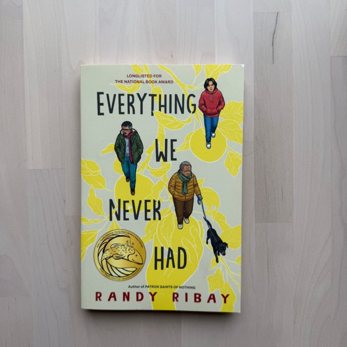 Everything We Never Had by Randy Ribay