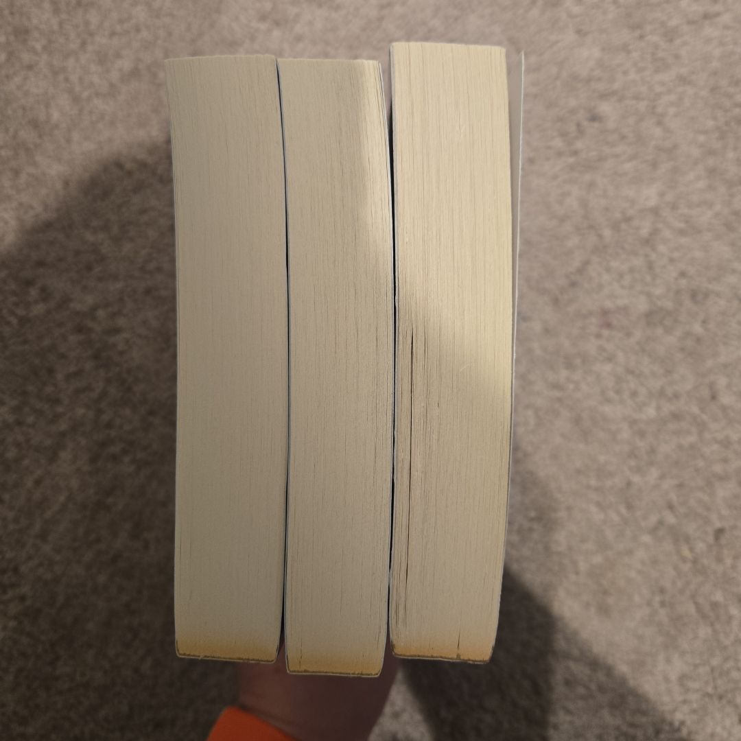 The 100 Boxed Set