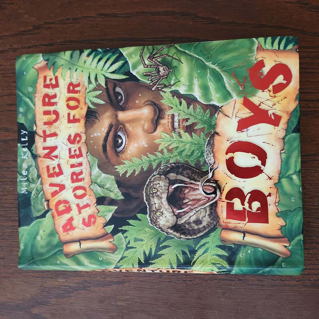Adventure Stories for Boys