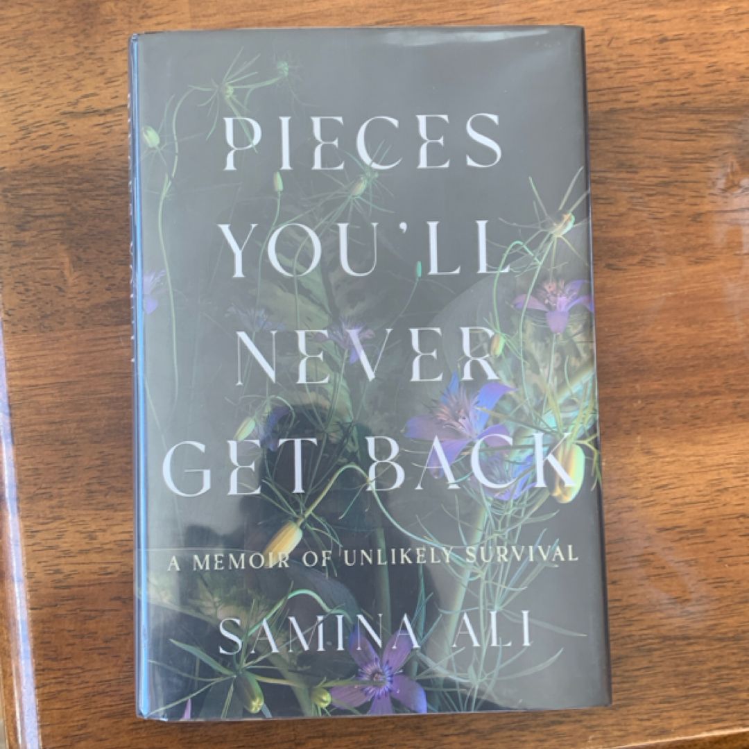 Pieces You'll Never Get Back