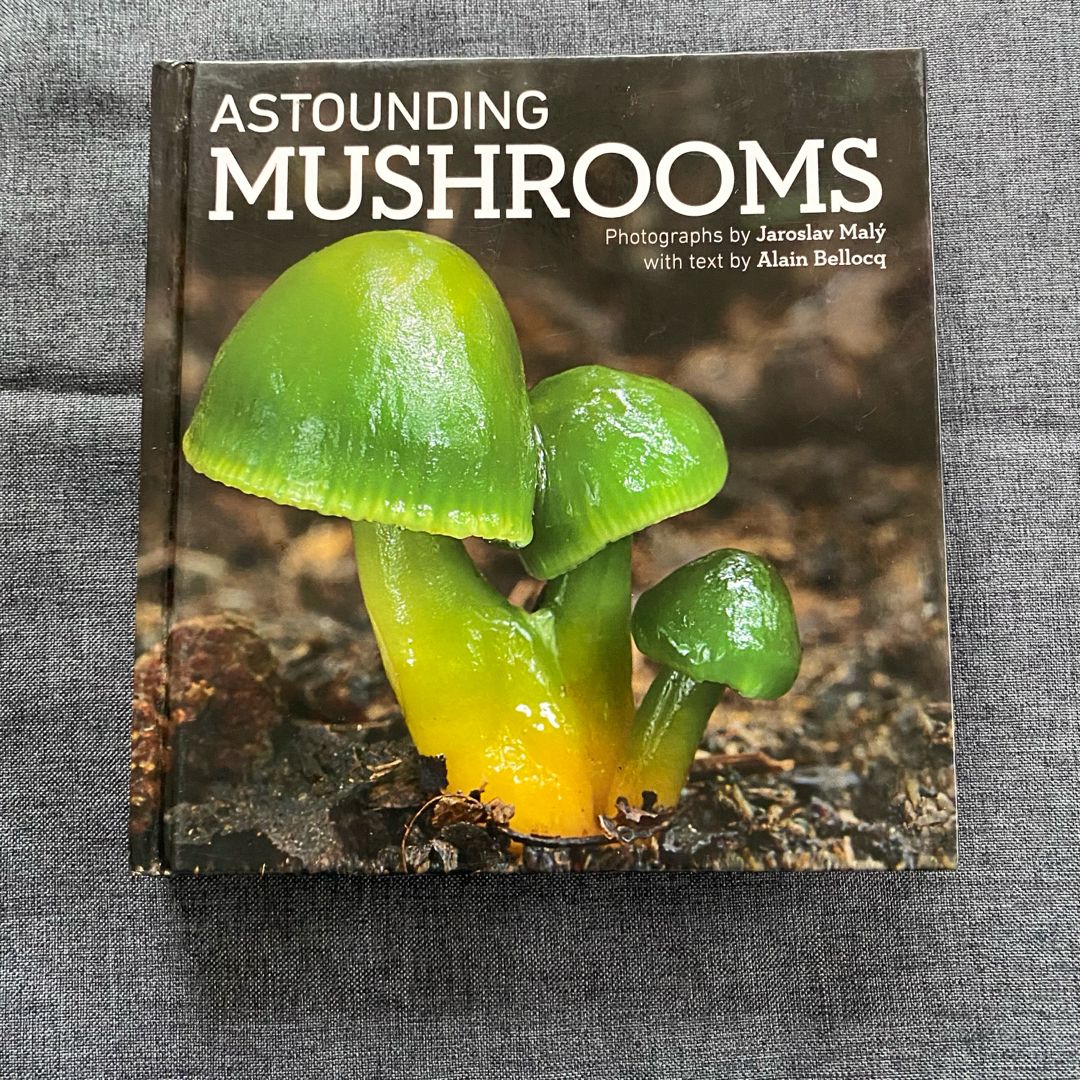 Astounding Mushrooms