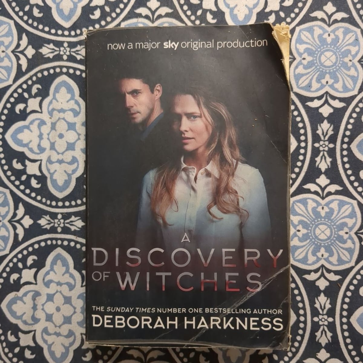 A Discovery of Witches by Deborah Harkness, Paperback | Pangobooks