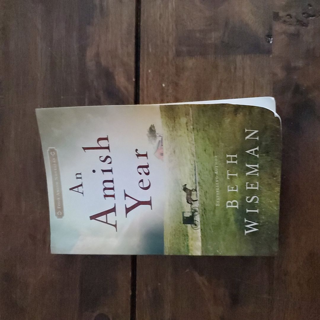 An Amish Year