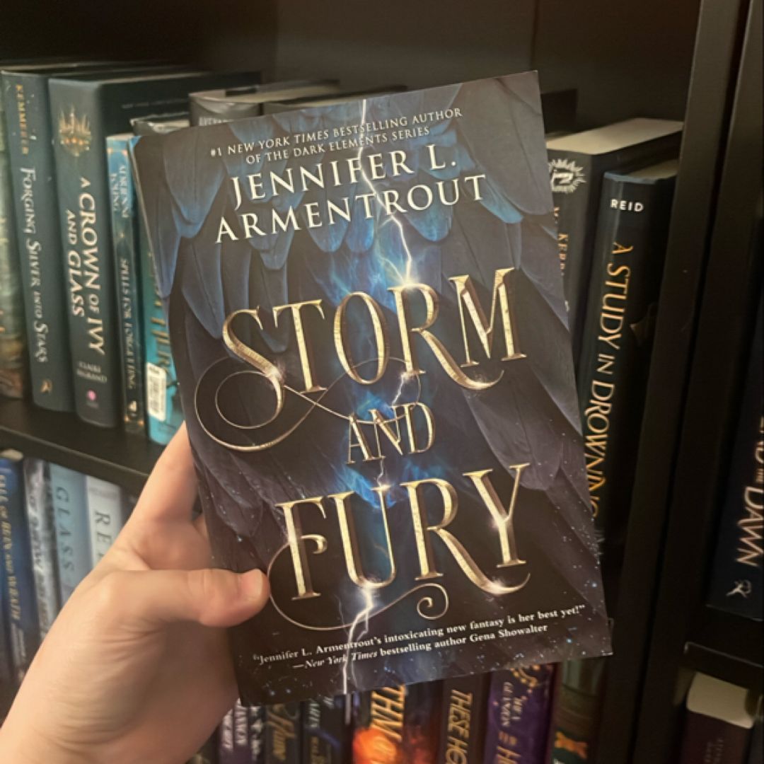 Storm and Fury