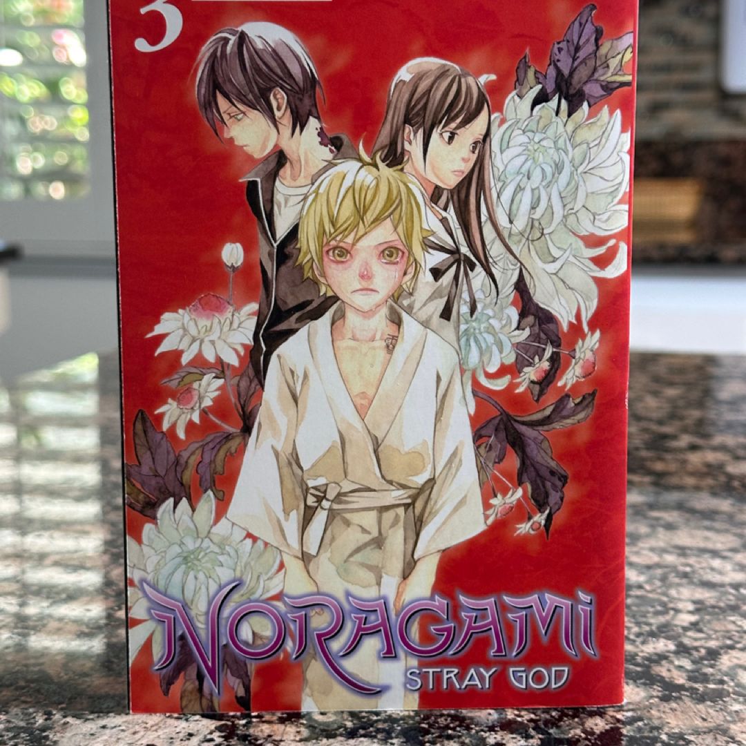Noragami: Stray God 3