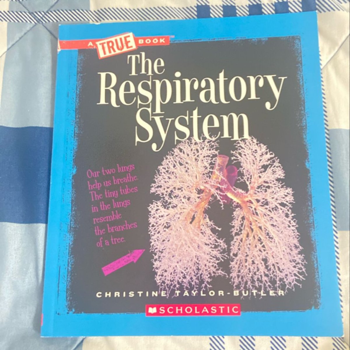 The Respiratory System (a True Book: Health and the Human Body) by ...