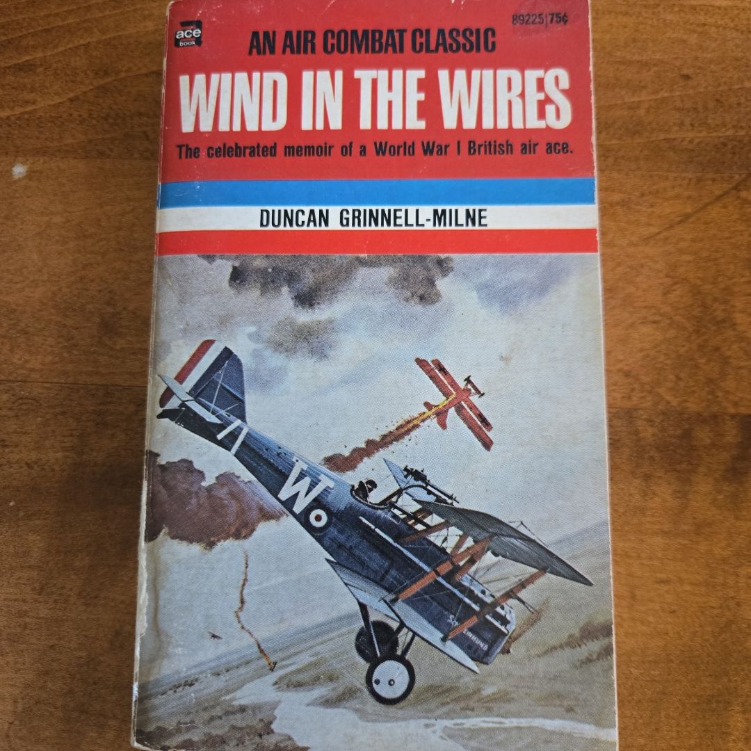 Wind in the Wires