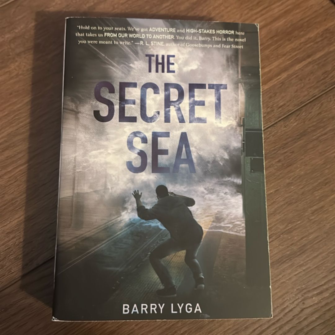 The Secret Sea