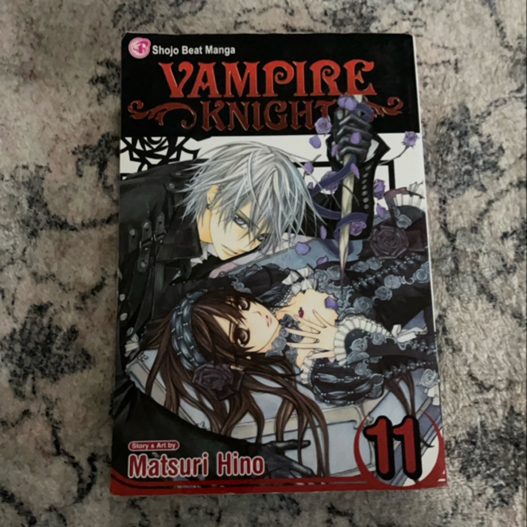 Vampire Knight, Vol. 11