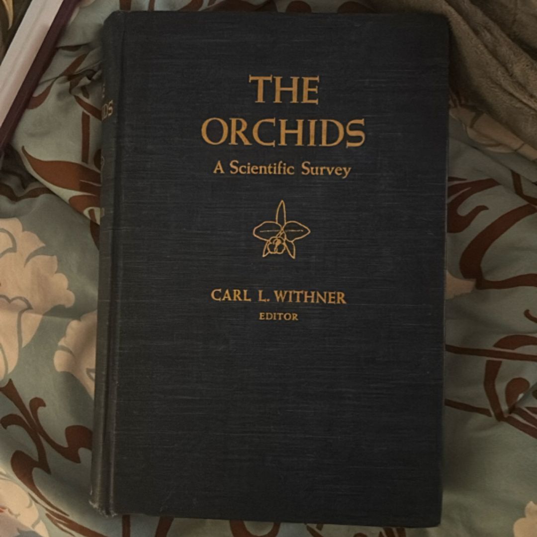 The Orchids