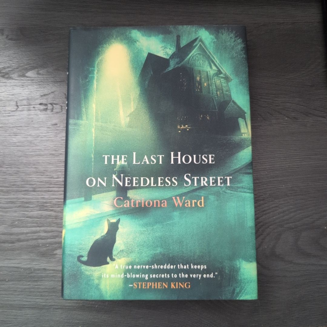 The Last House on Needless Street