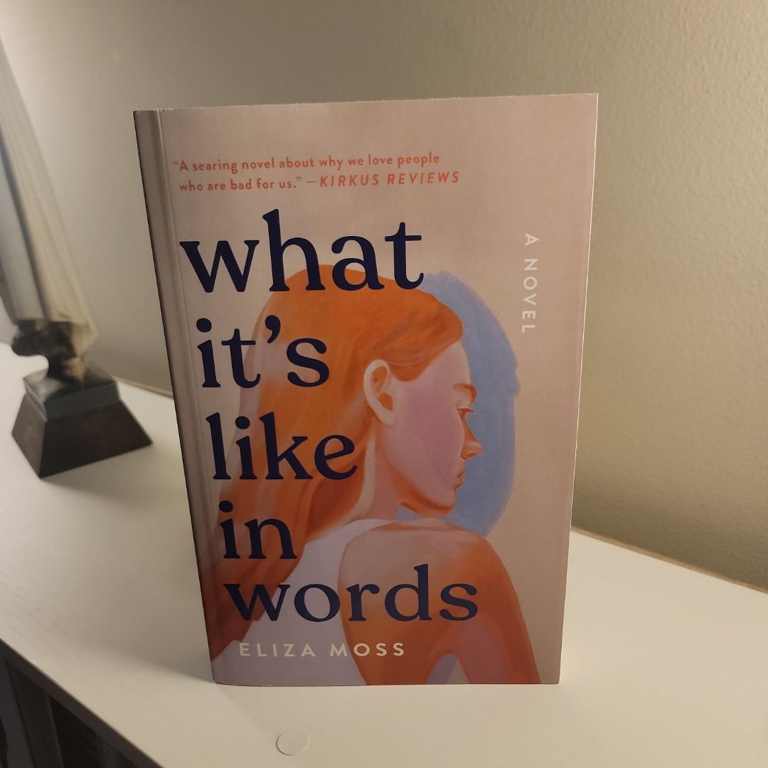 What It's Like in Words