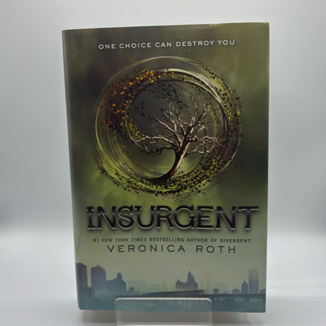 Insurgent (2012)