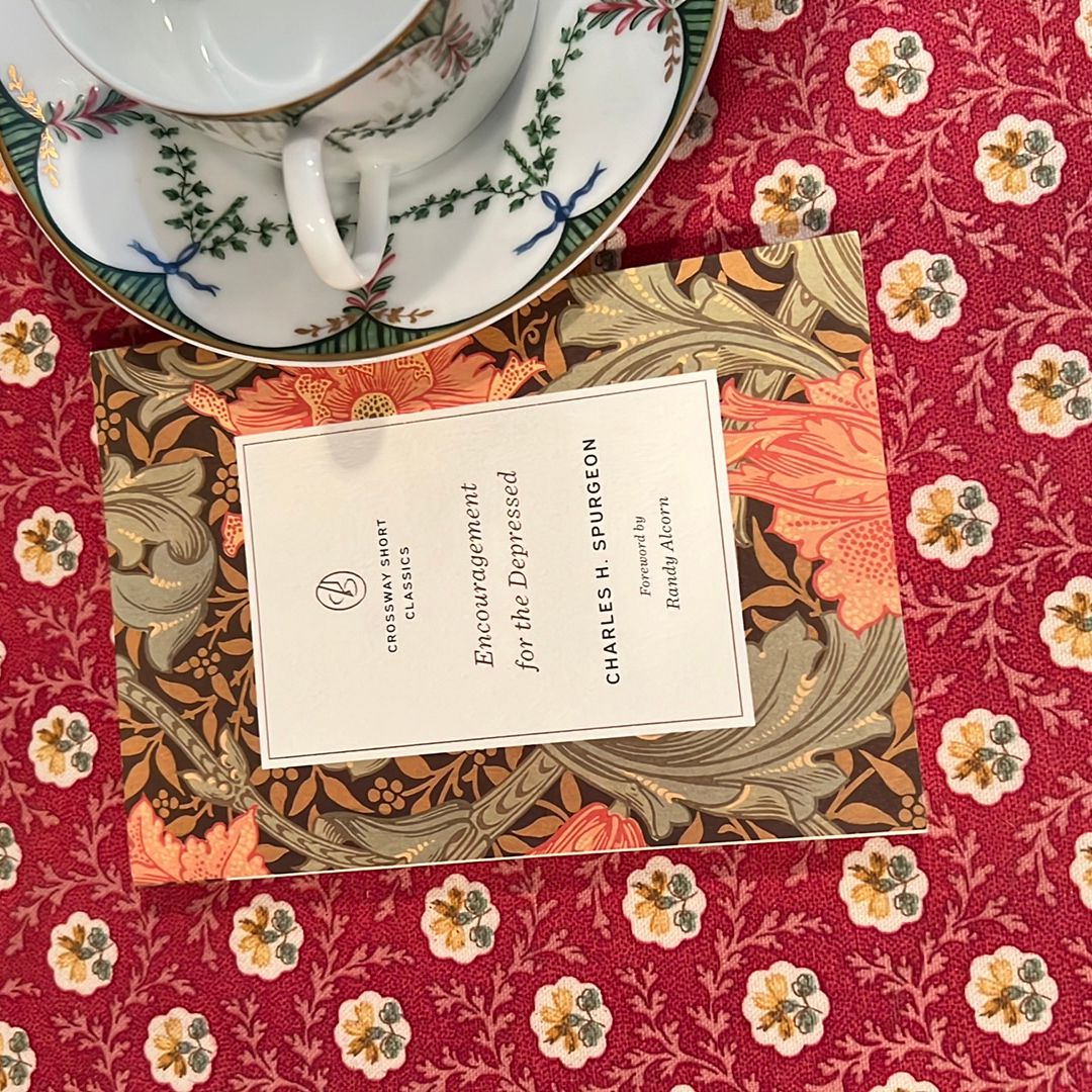 Encouragement for the Depressed