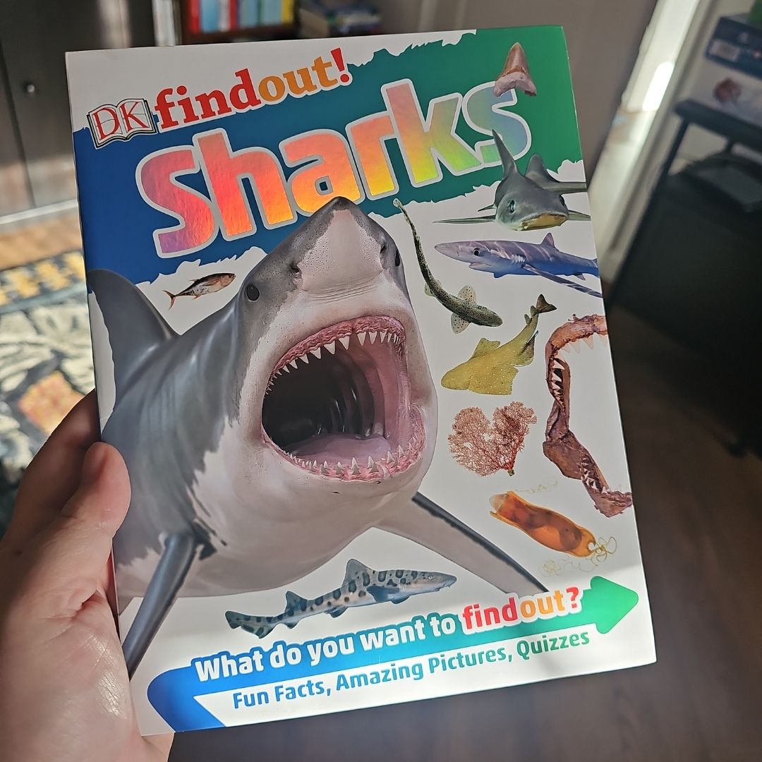 DKfindout! Sharks