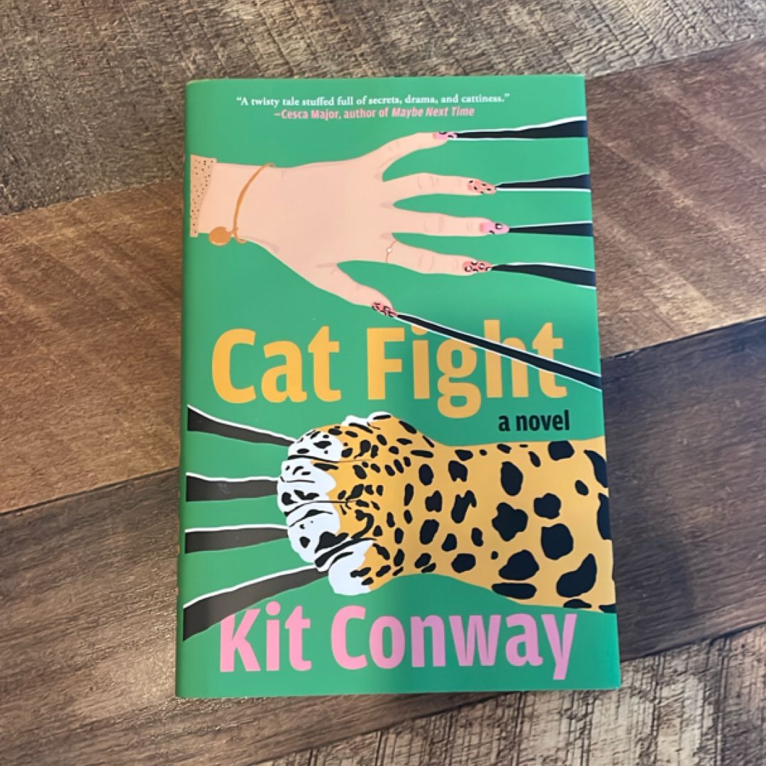 Cat Fight