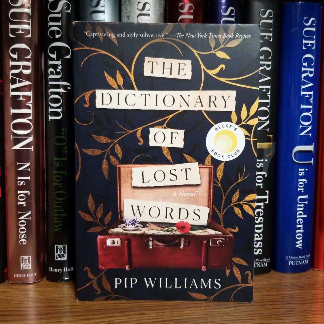 The Dictionary of Lost Words