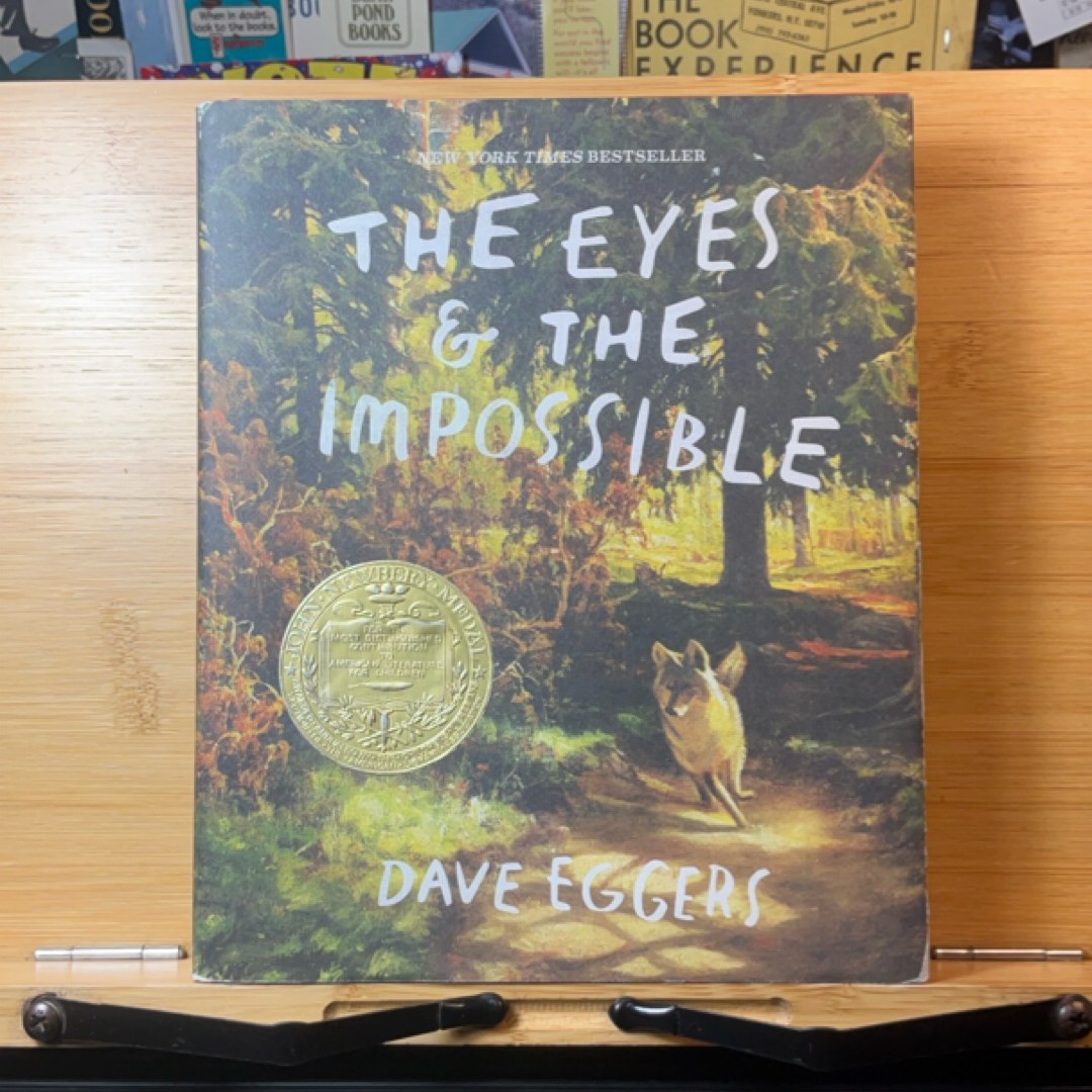 The Eyes and the Impossible