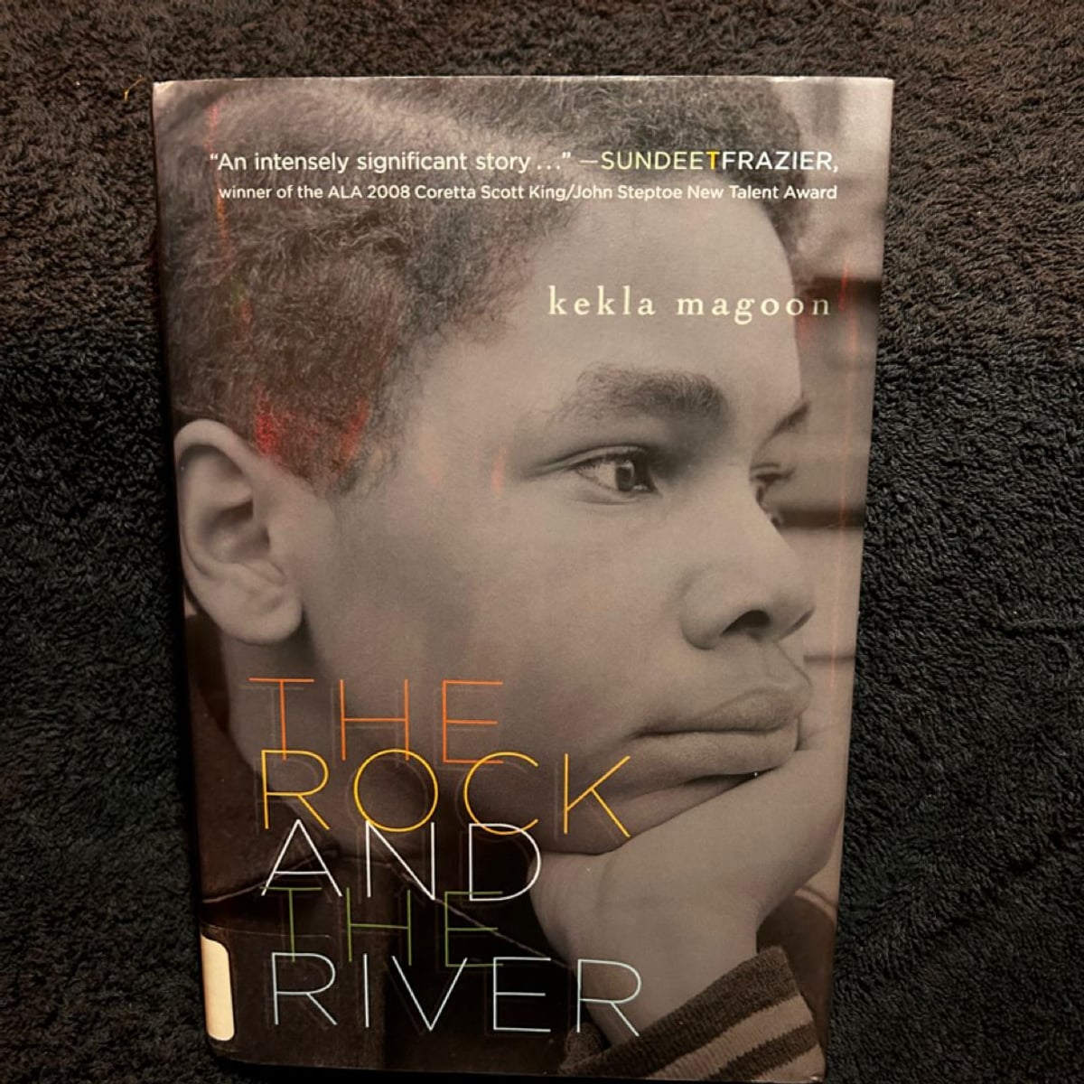 The Rock and the River by Kekla Magoon