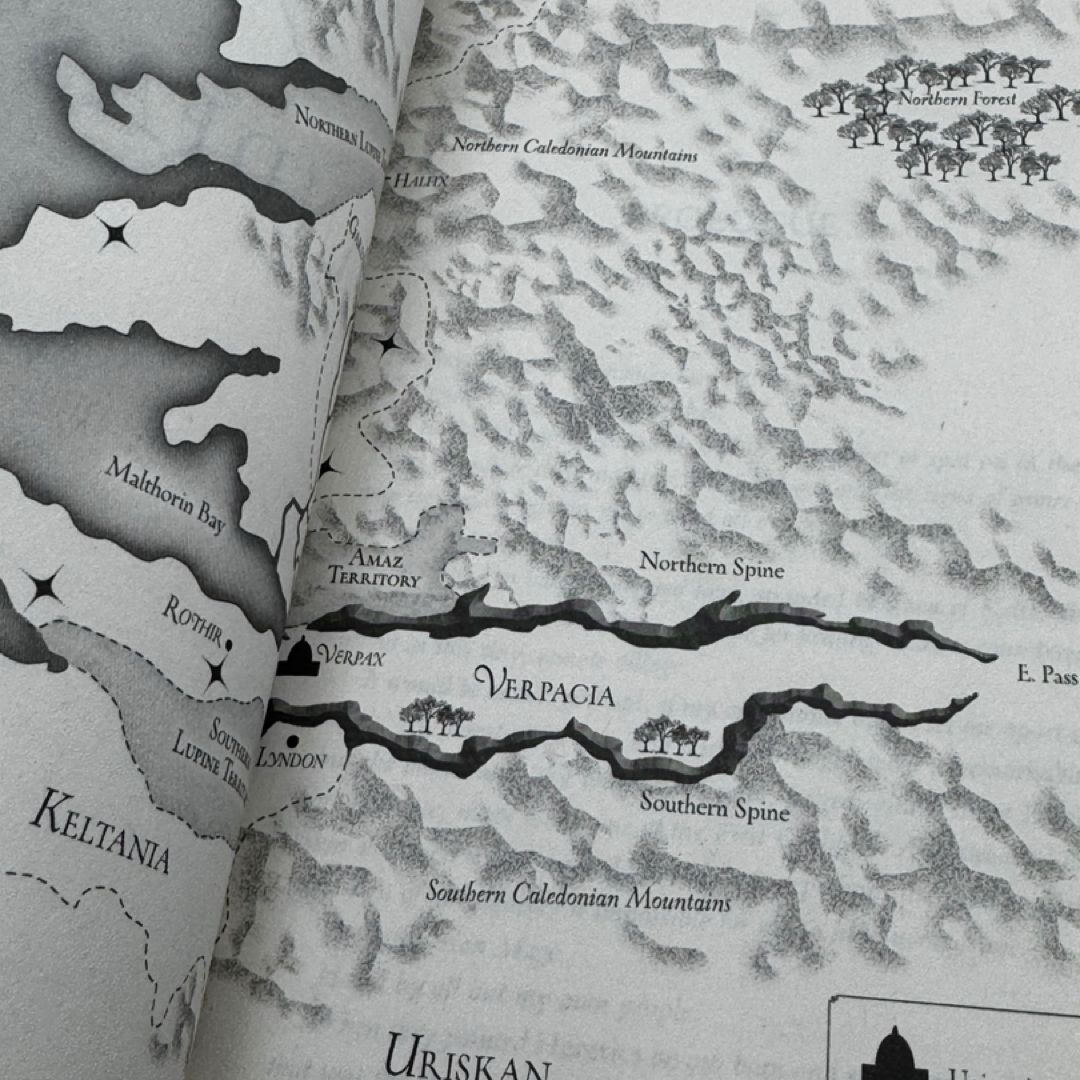 The Rebel Mages by Laurie Forest
