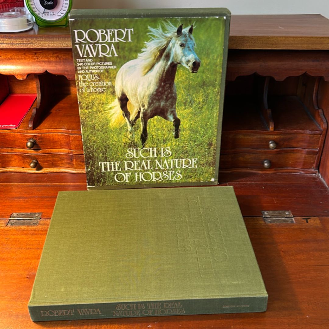 Such Is the Real Nature of Horses by Robert Vavra