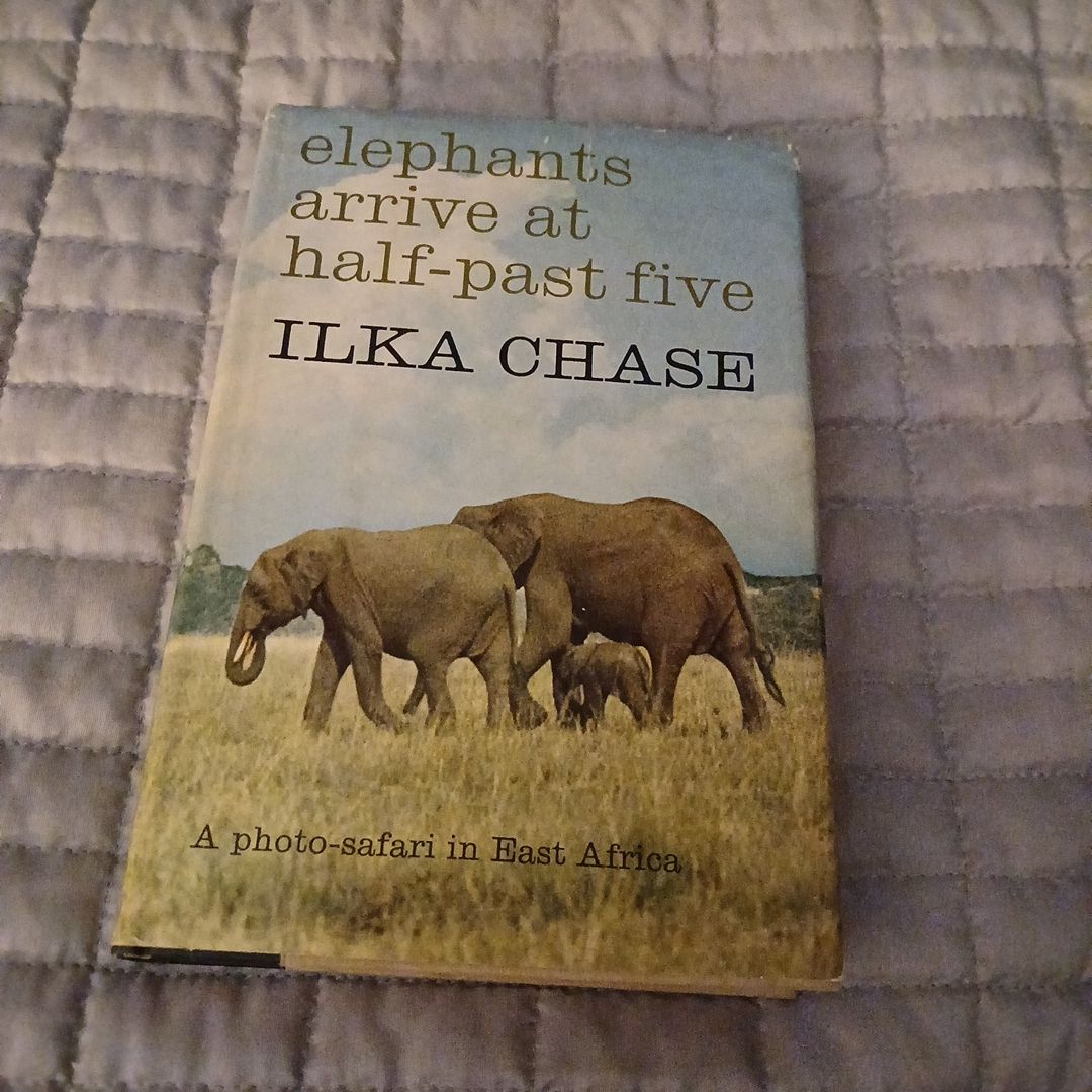 Elephants arrive at half past five