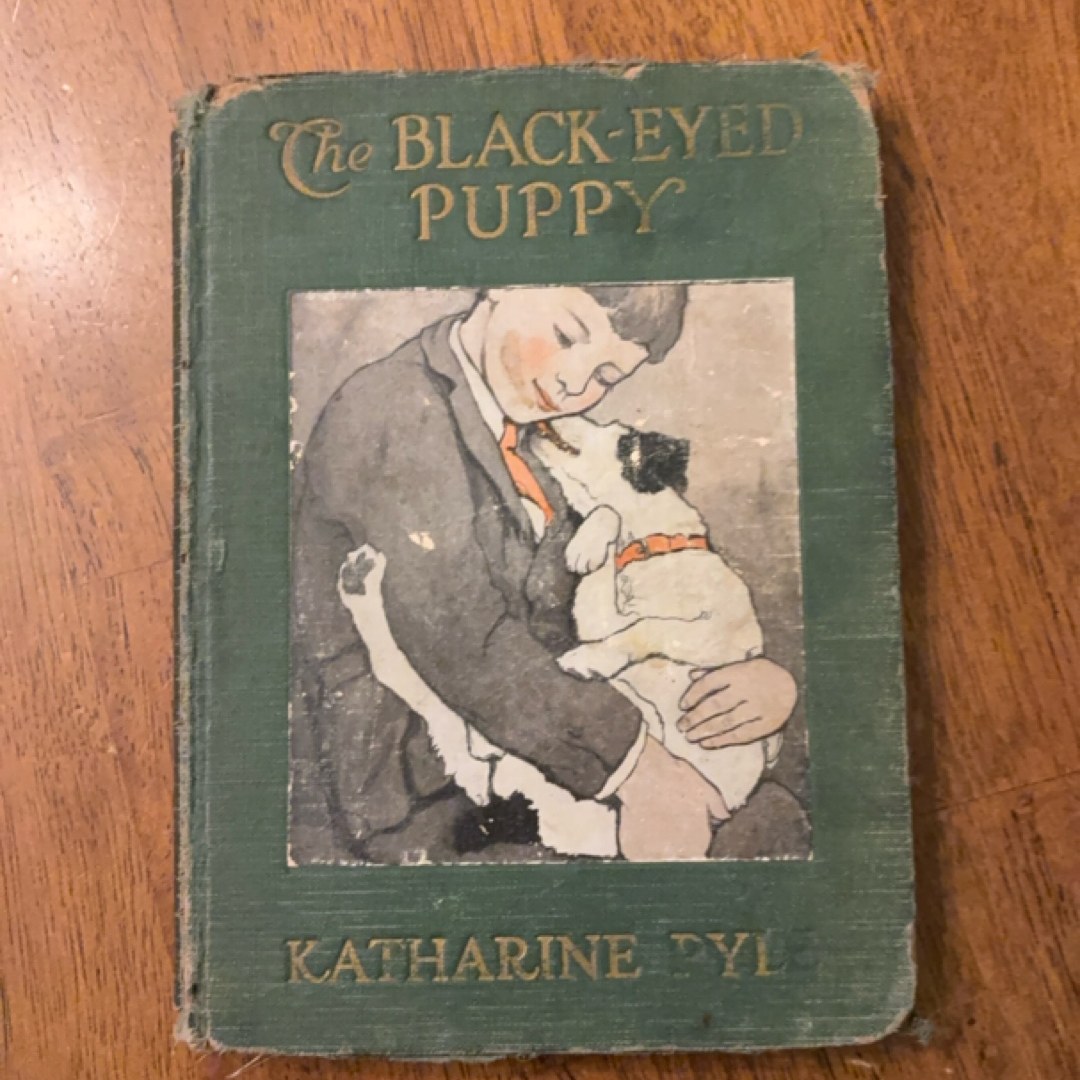 The Black-Eyed Puppy