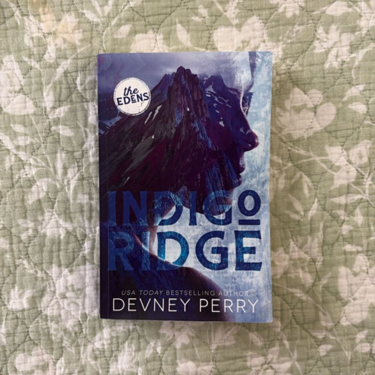 Indigo Ridge by Devney Perry, Paperback | PangoBooks