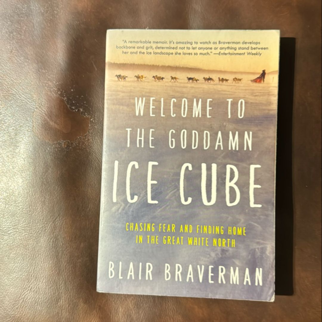 Welcome to the Goddamn Ice Cube