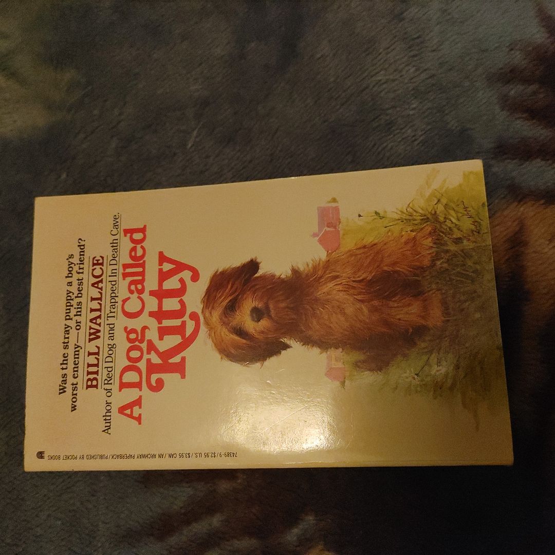 Dog Called Kitty by Bill Wallace