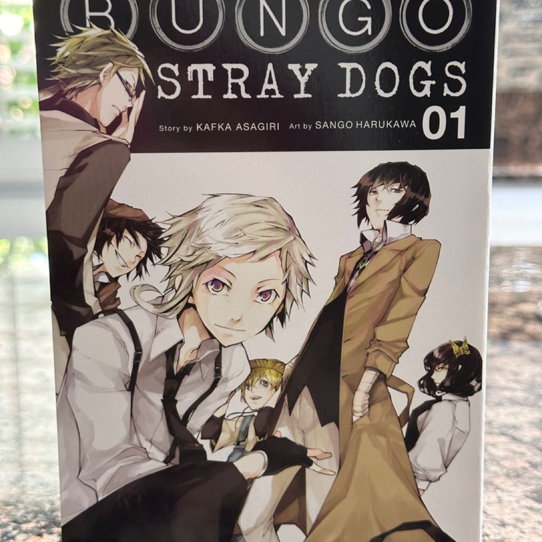 Bungo Stray Dogs, Vol. 1