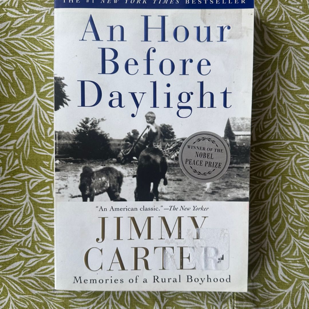 An Hour Before Daylight