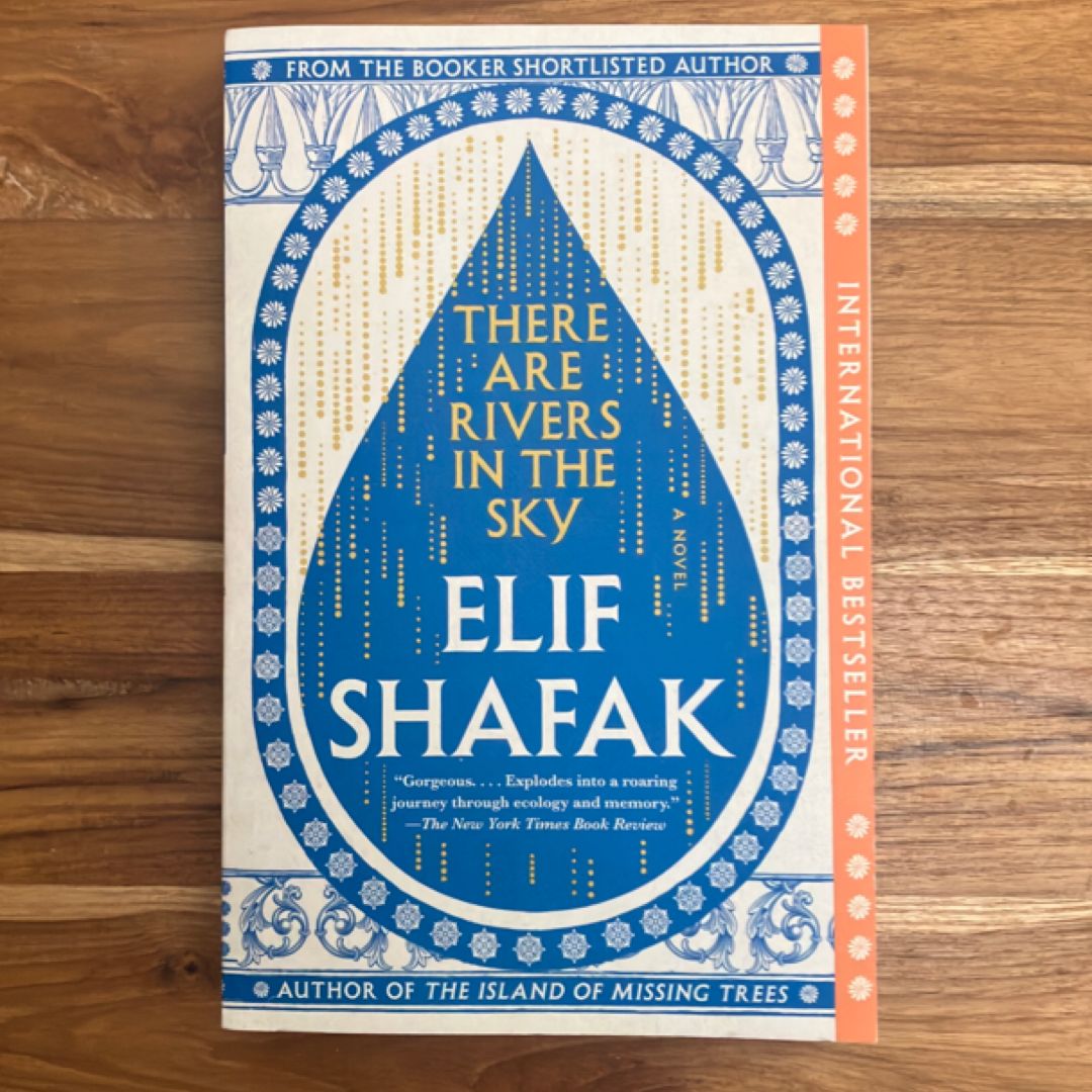 There Are Rivers in the Sky