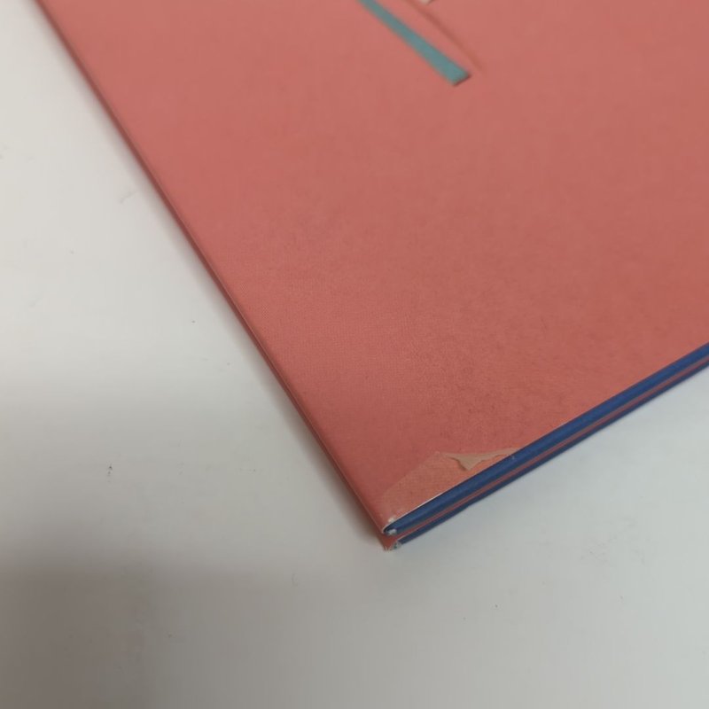 What Can a Citizen Do?