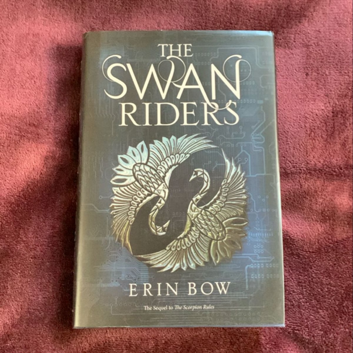 The Swan Riders by Erin Bow