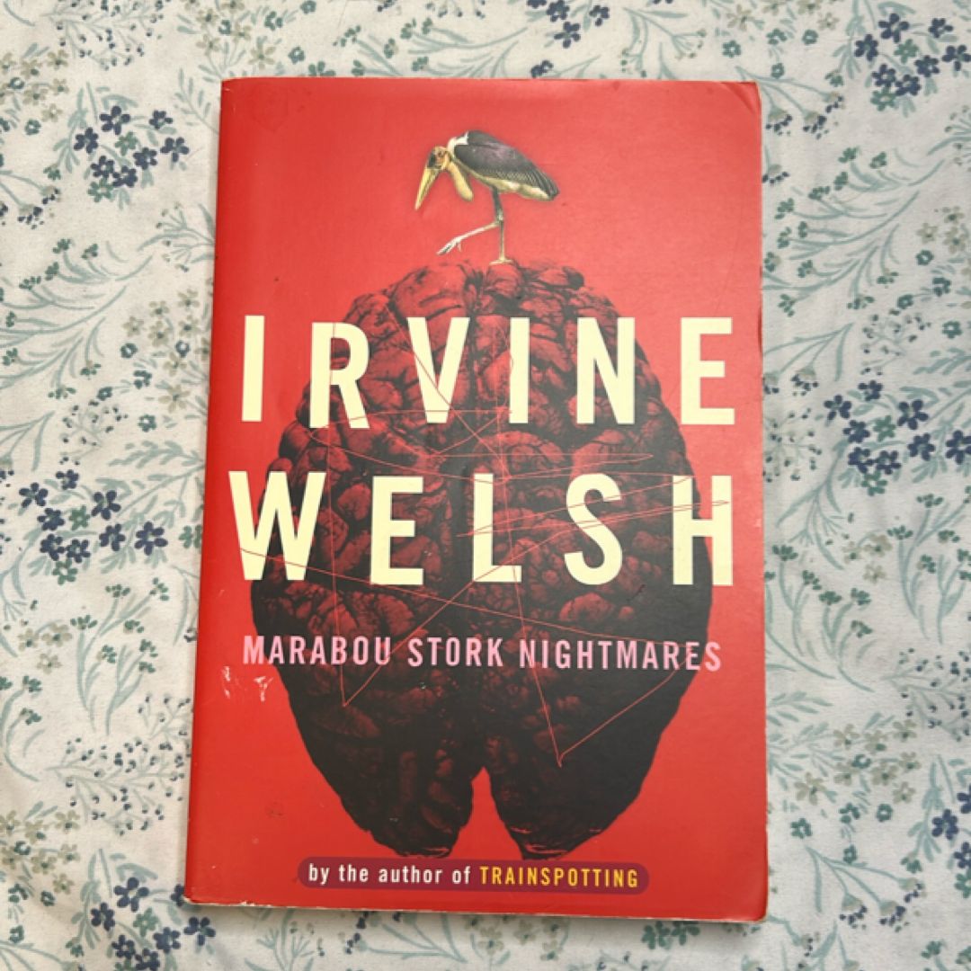 Marabou Stork Nightmares