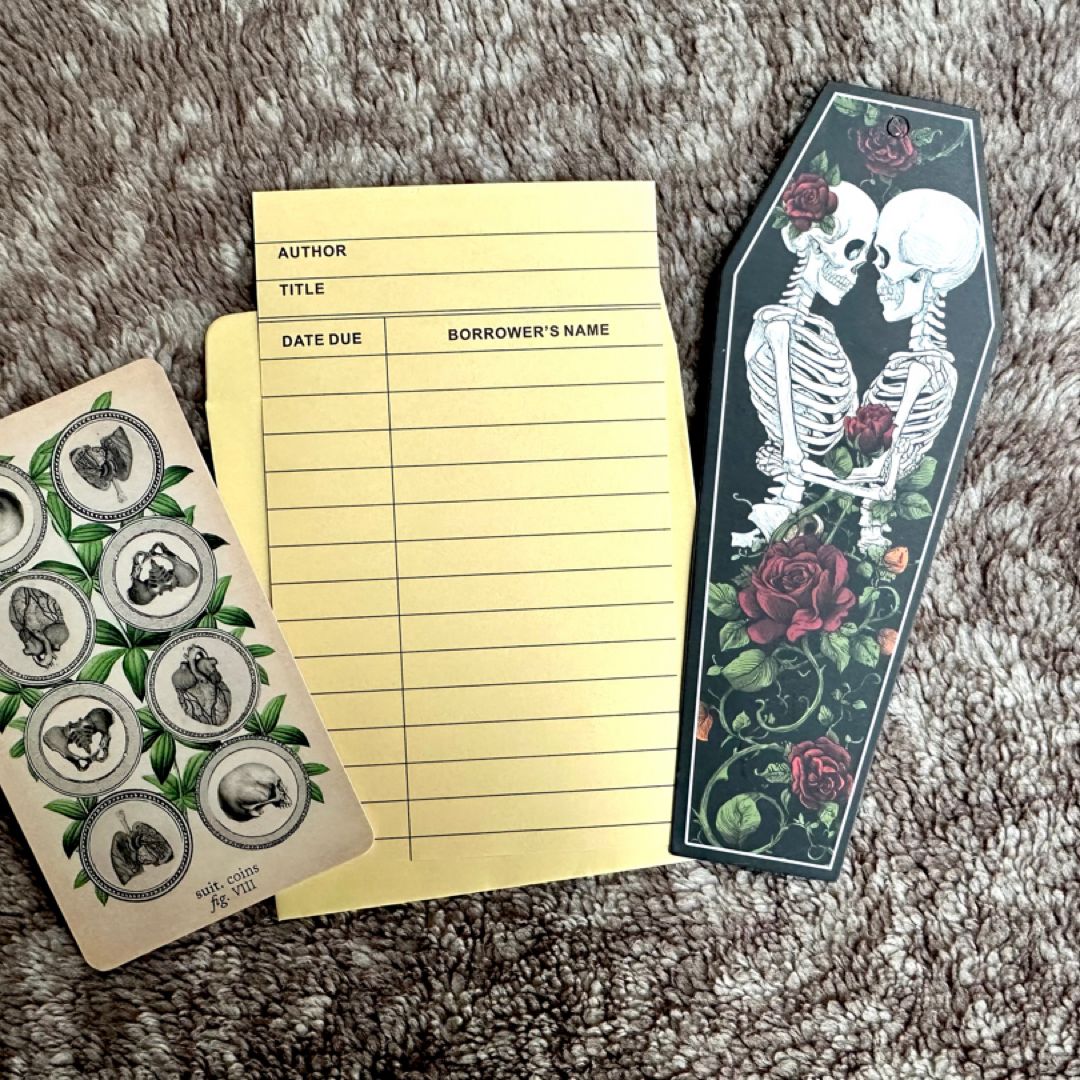 Dark Romance *themed* Blind Date with a Book Box by *surprise ...