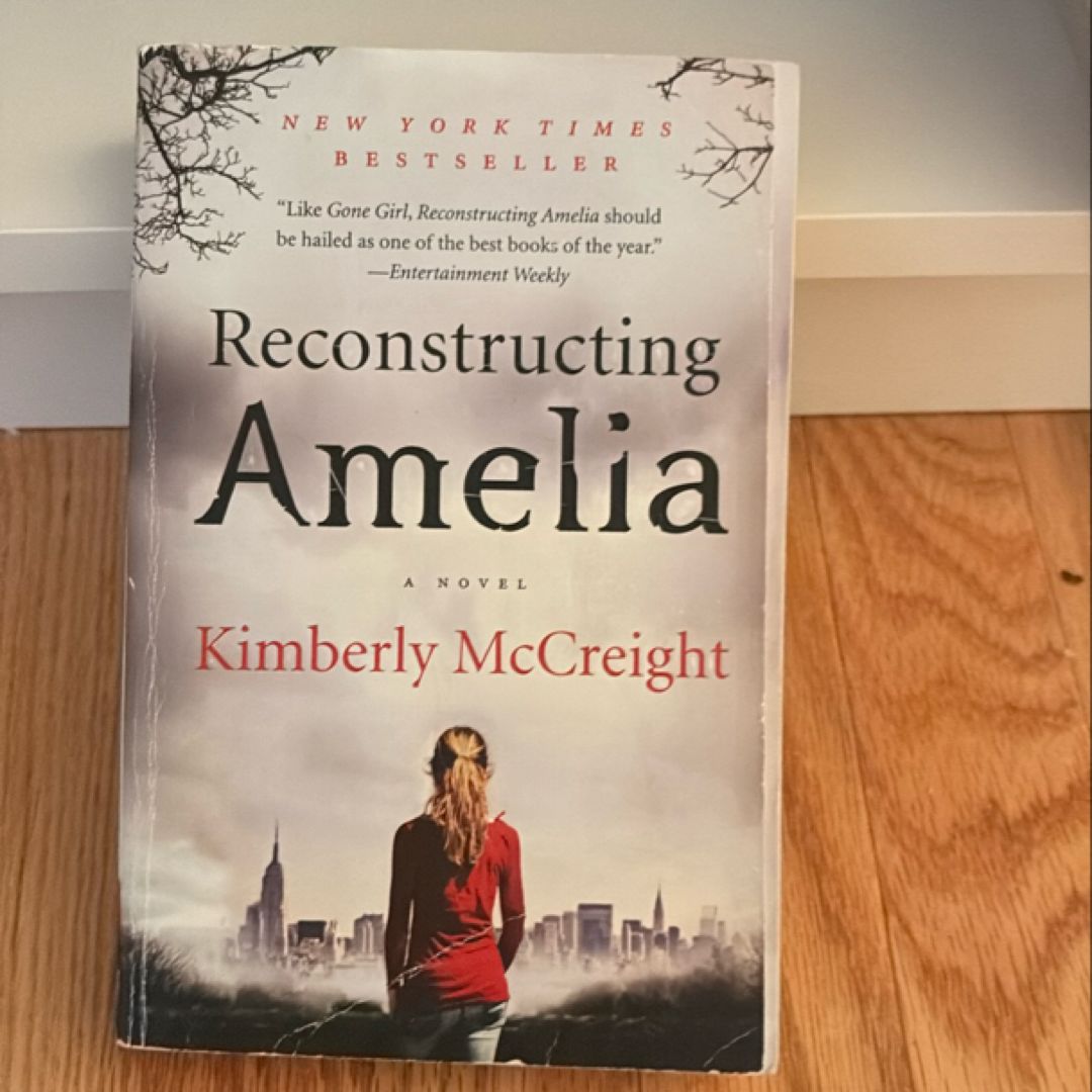 Reconstructing Amelia